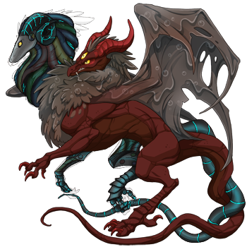 IMG 0502.png