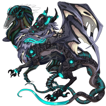 IMG 0505.png