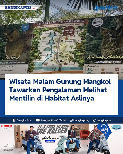 IG YAMAHA 20260628 130217 Wisata Malam Gunung Mangkol Tawarkan Pen.jpg