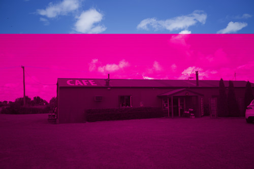 9e0ef0b12367.jpg