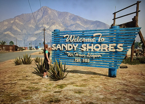 sandy.png