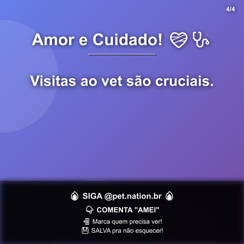carousel 1782565212888 slide4.png