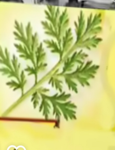 temp.png