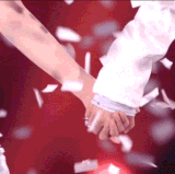 IMG 8841.gif