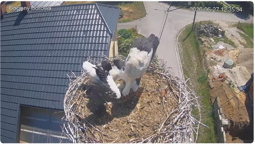MWSnap362.jpg