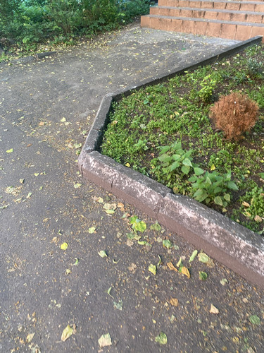 IMG 1043.jpg