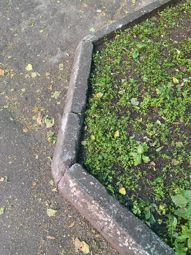 IMG 1044.jpg
