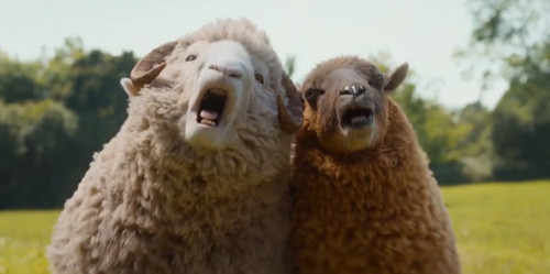 the sheep detectives mopple and lily.jpg