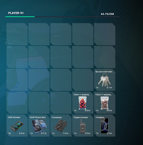 FiveM GTAProcess 5uIycrsr6G.png