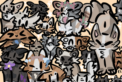 IMG 8800.png