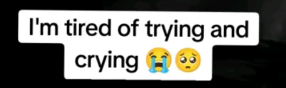 temp.png