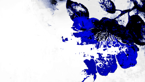 1782576381123.png