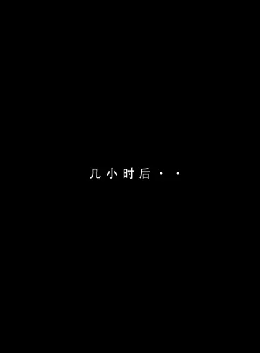 316 319.webp