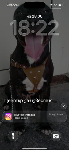 IMG 1074.png
