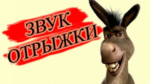 a8af3258 0dd4 403f b662 b56e94aa9637.jpg