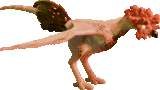perfect model.gif