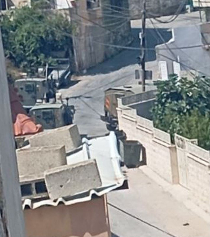 صورة الخبر