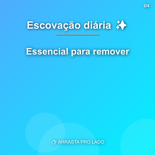 carousel 1782590408600 slide2.png