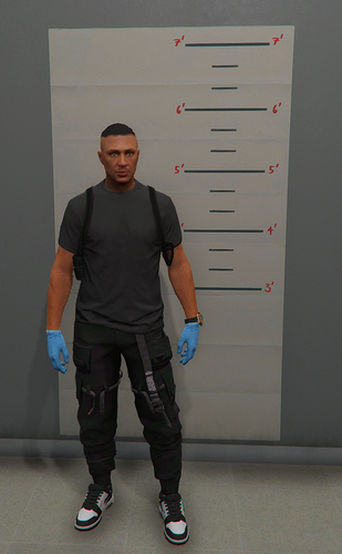 FiveM GTAProcess 20O9bcDS95.png