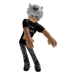 788b5dd2117a.png