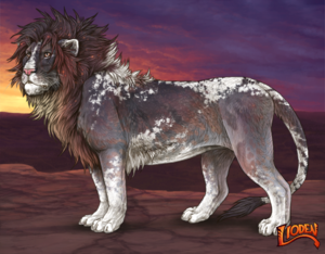 IMG_1641.png