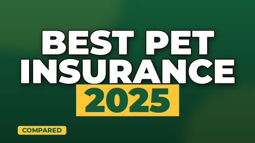 thumb cheapest pet insurance providers compare landscape.png