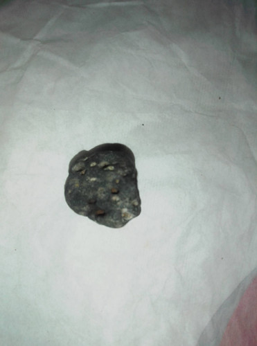 e4d04a087042.jpg