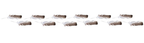 feather divider.jpg