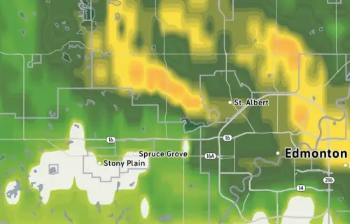 RainyRadar.webp