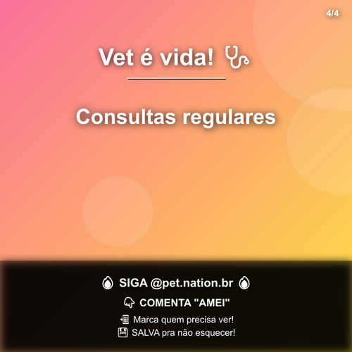 carousel 1782579614618 slide4.png