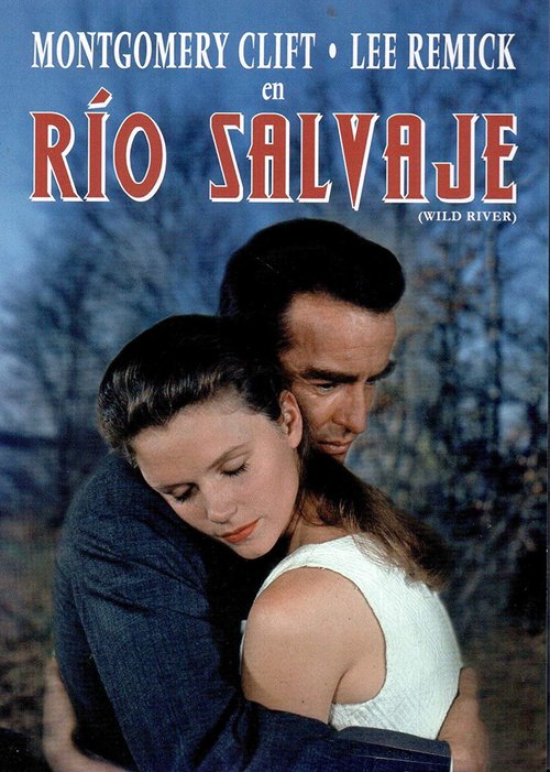 Dzika rzeka / Wild River (1960) PL.1080p.BDRip.H264-wasik / Lektor PL