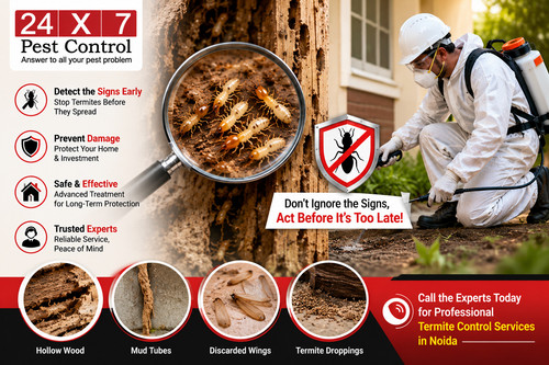 Termite Control Services in Gurgaon.jpg