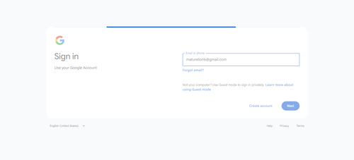 2026 06 28T01 02 16 717Z GOOGLE email entered password.png