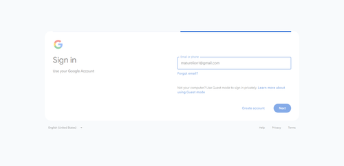 2026 06 28T01 02 17 559Z GOOGLE email entered password.png