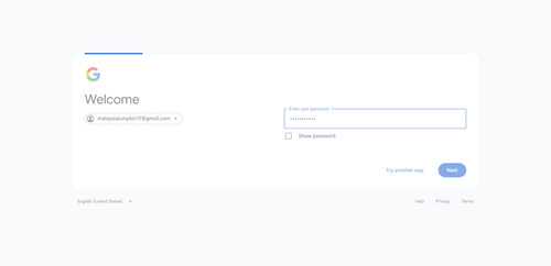 2026 06 28T01 02 16 365Z GOOGLE password entered.png