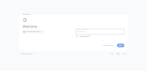 2026 06 28T01 02 21 509Z GOOGLE password entered.png