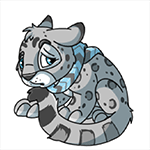 kougra boreal winter baby.gif