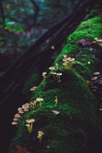 sander weeteling 4MZlDAiIpoI unsplash.jpg
