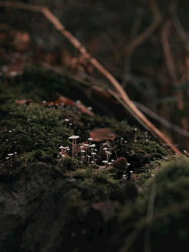 haberdoedas w SmTlpC0G4 unsplash.jpg