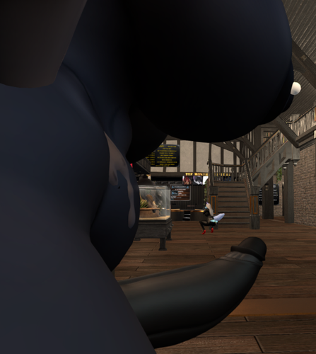 Snapshot 2026 06 27 161110 001.png