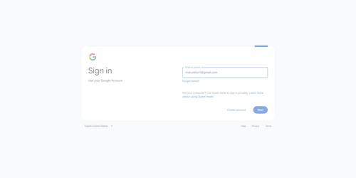 2026 06 27T21 54 46 550Z GOOGLE email entered password.png
