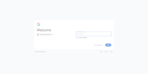 2026 06 27T21 54 49 563Z GOOGLE password entered.png