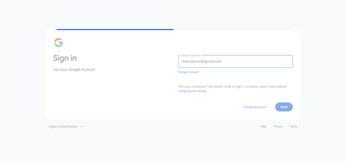 2026 06 27T21 55 11 738Z GOOGLE email entered password.png