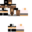 skin.png