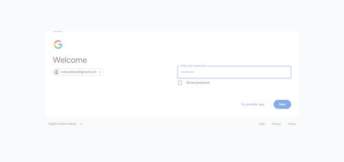 2026 06 27T21 55 14 328Z GOOGLE password entered.png