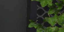 Discord NTdO9NsSCt.png