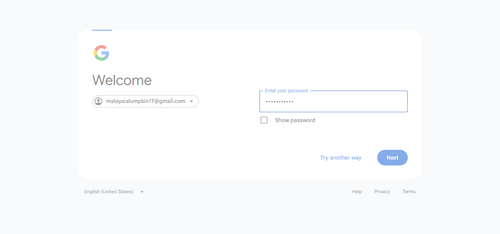 2026 06 27T21 52 32 181Z GOOGLE password entered.png