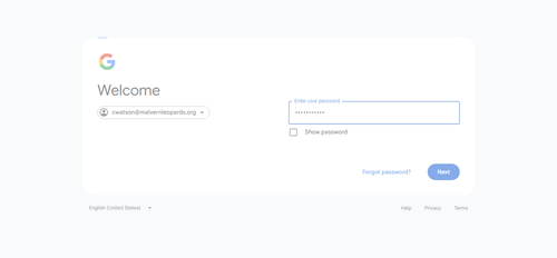 2026 06 27T22 29 05 344Z GOOGLE password entered.png