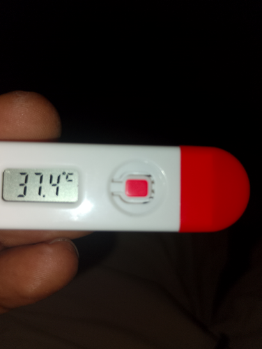 temp.png