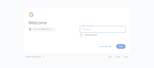 2026 06 27T22 30 53 871Z GOOGLE password entered.png